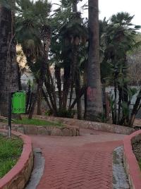 les allées du Parc_6.jpg